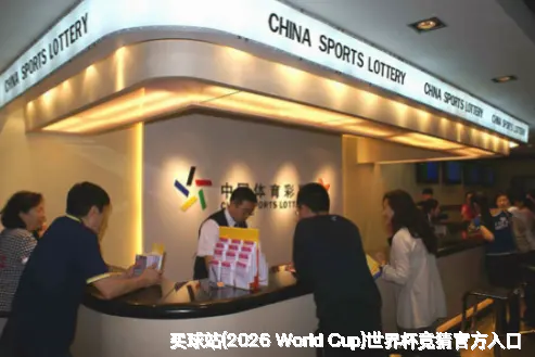 核心团队与专业资质